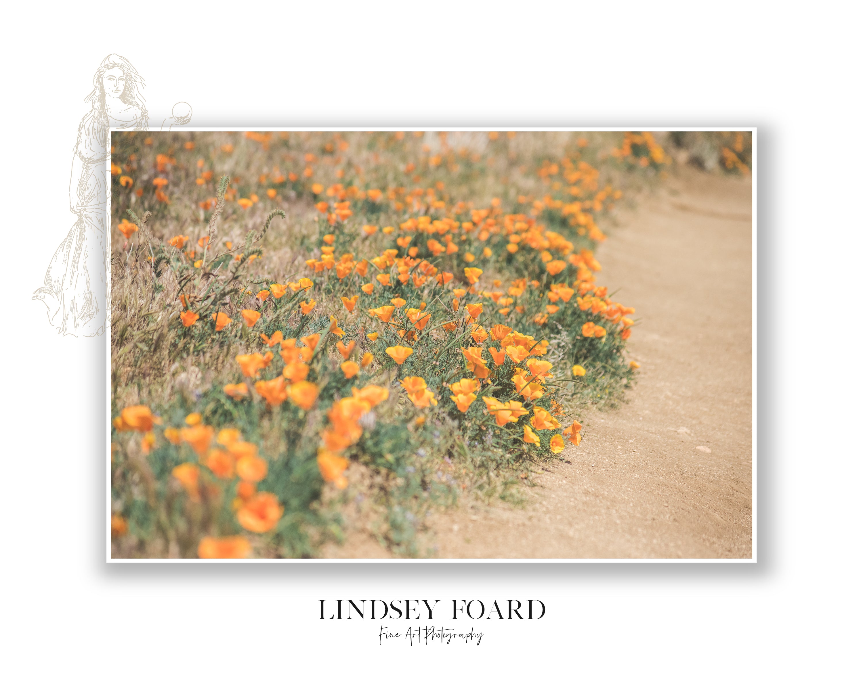 California Poppies Series, Part V