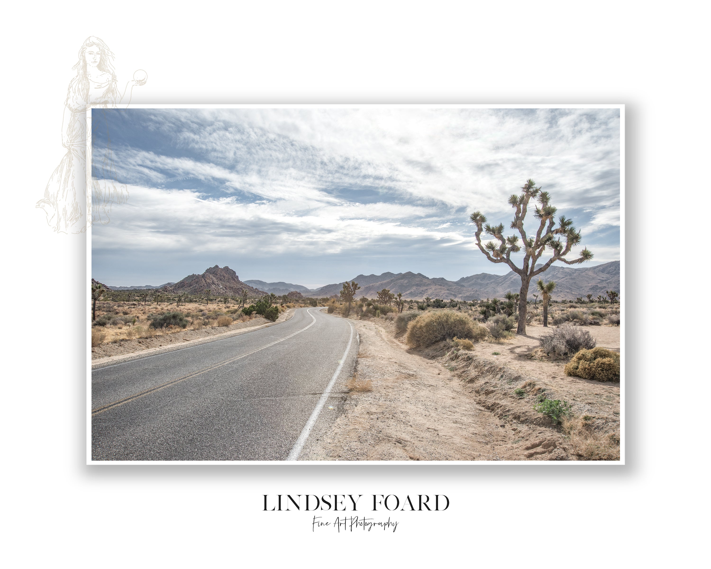 Joshua Tree Landscape Photo