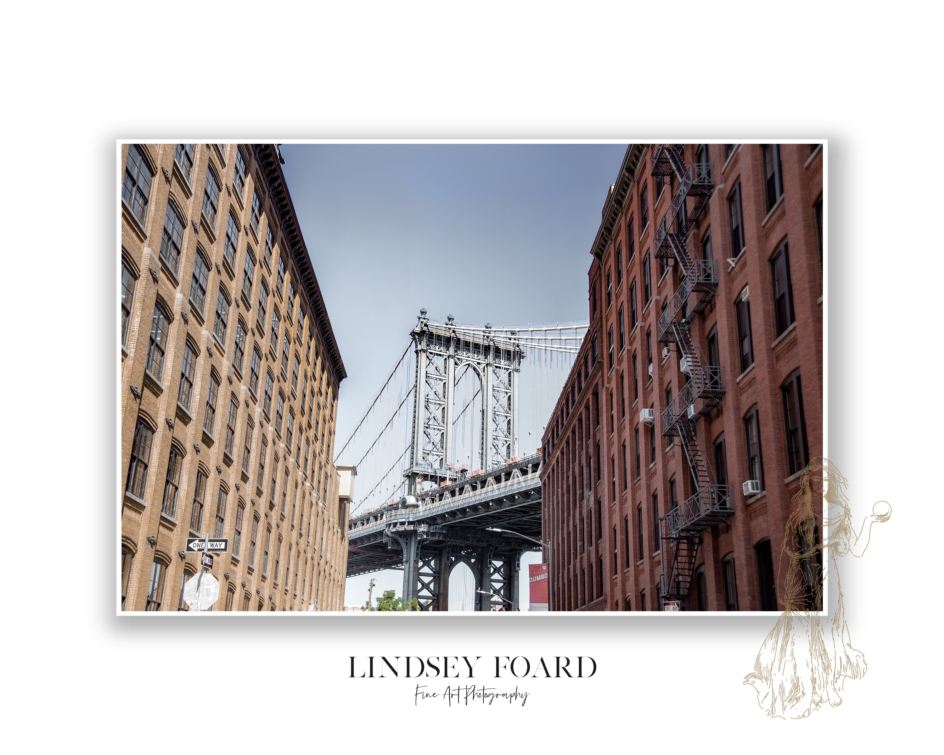 Dumbo Photo