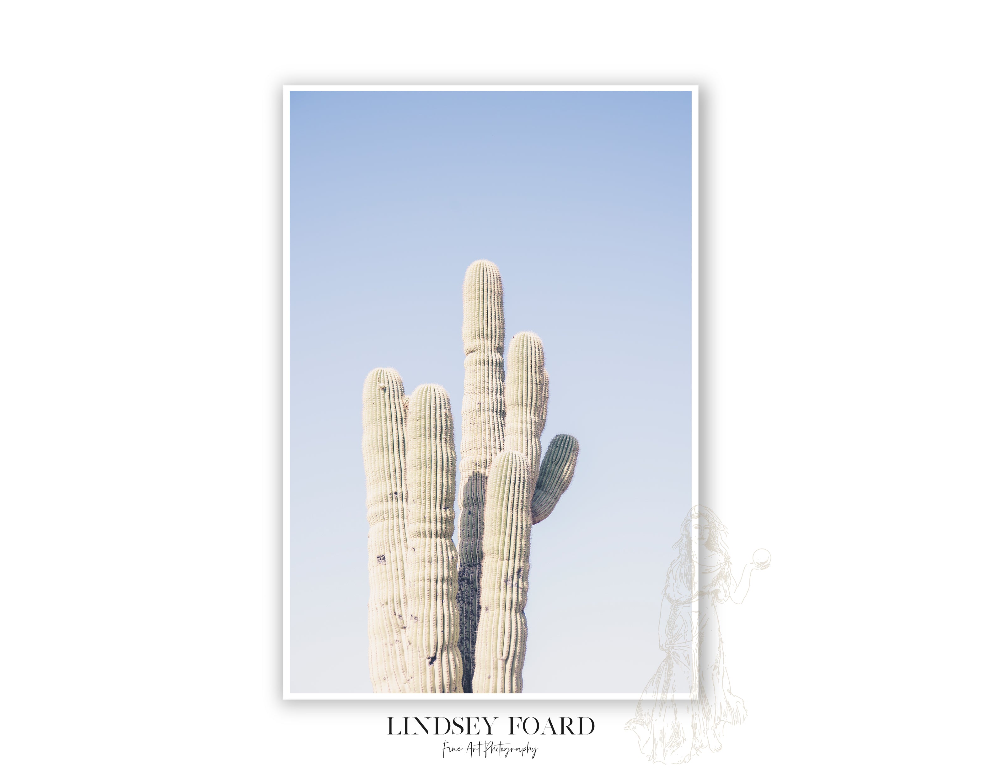 Saguaro Cluster Photo