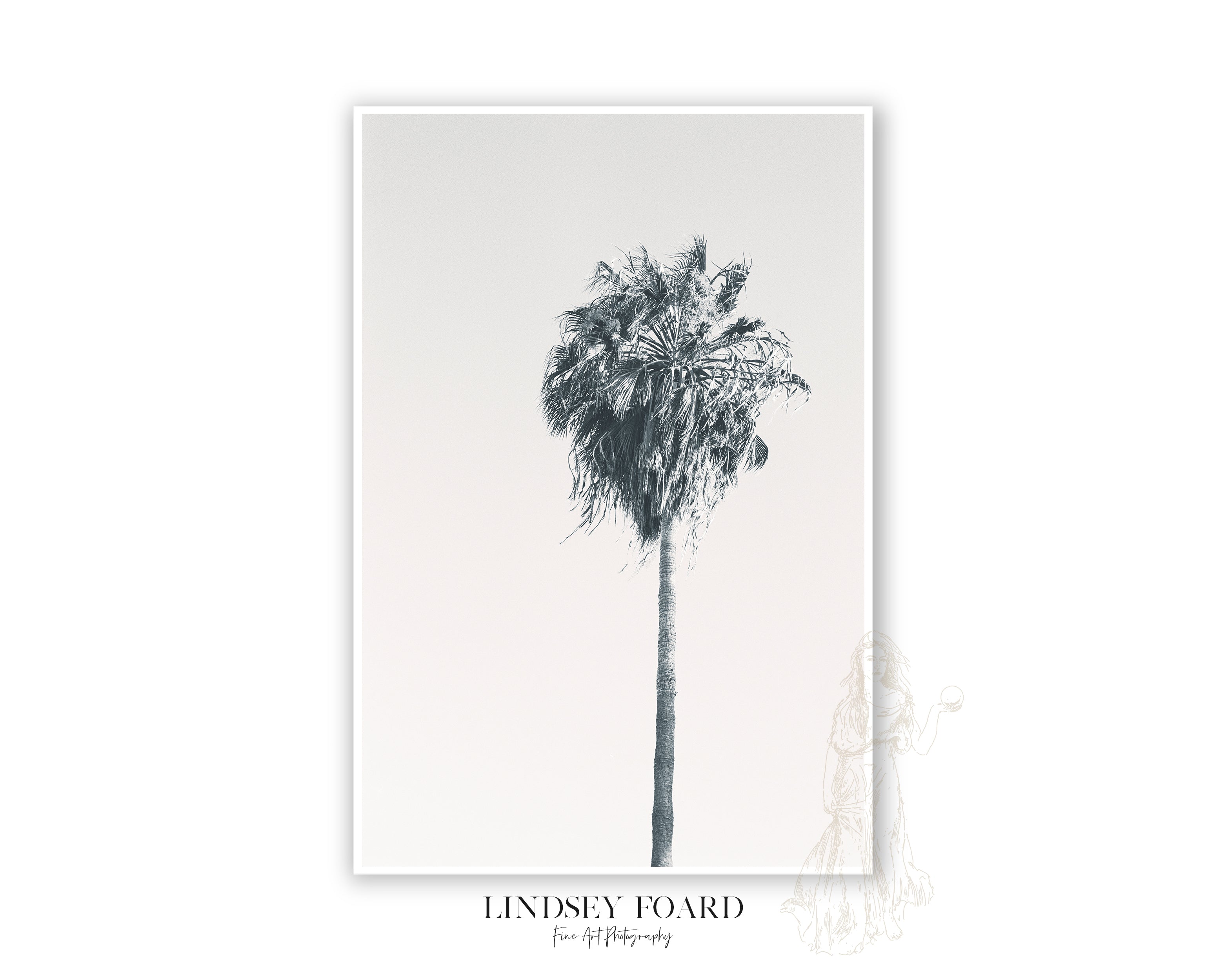 Cali Palm Photo on Film- B&W