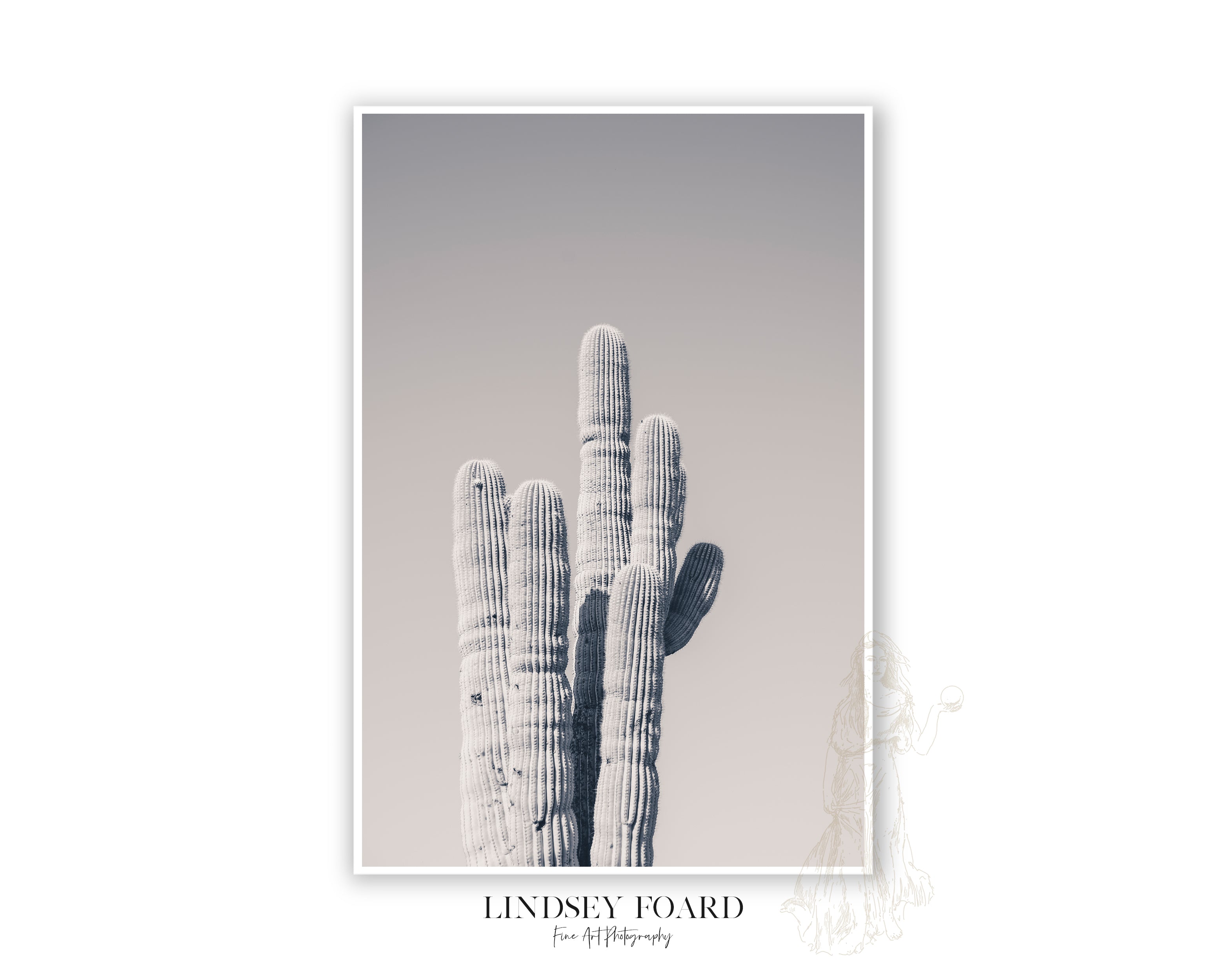 Saguaro Cluster Photo- B&W