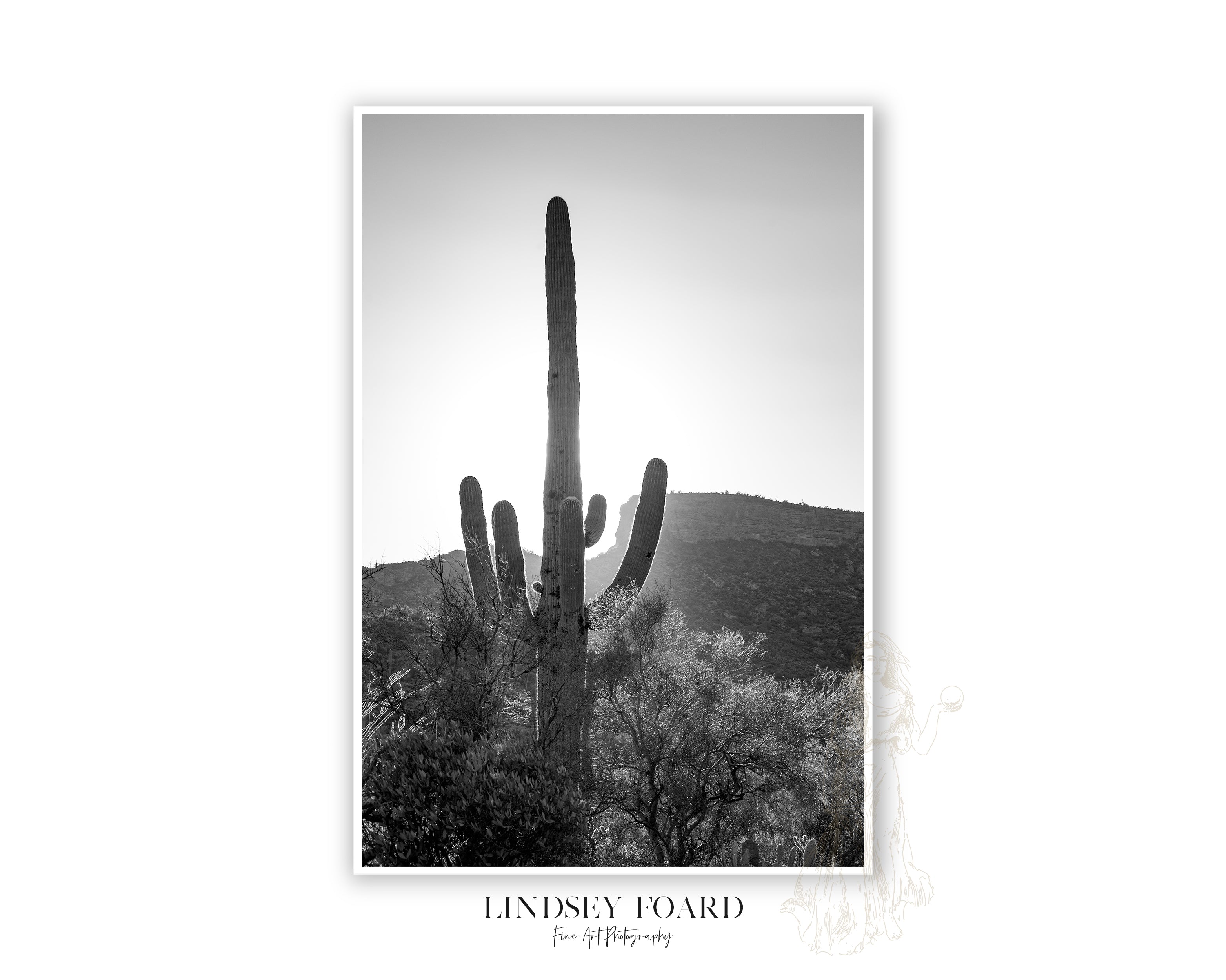 Superstition Saguaro Photo- B&W