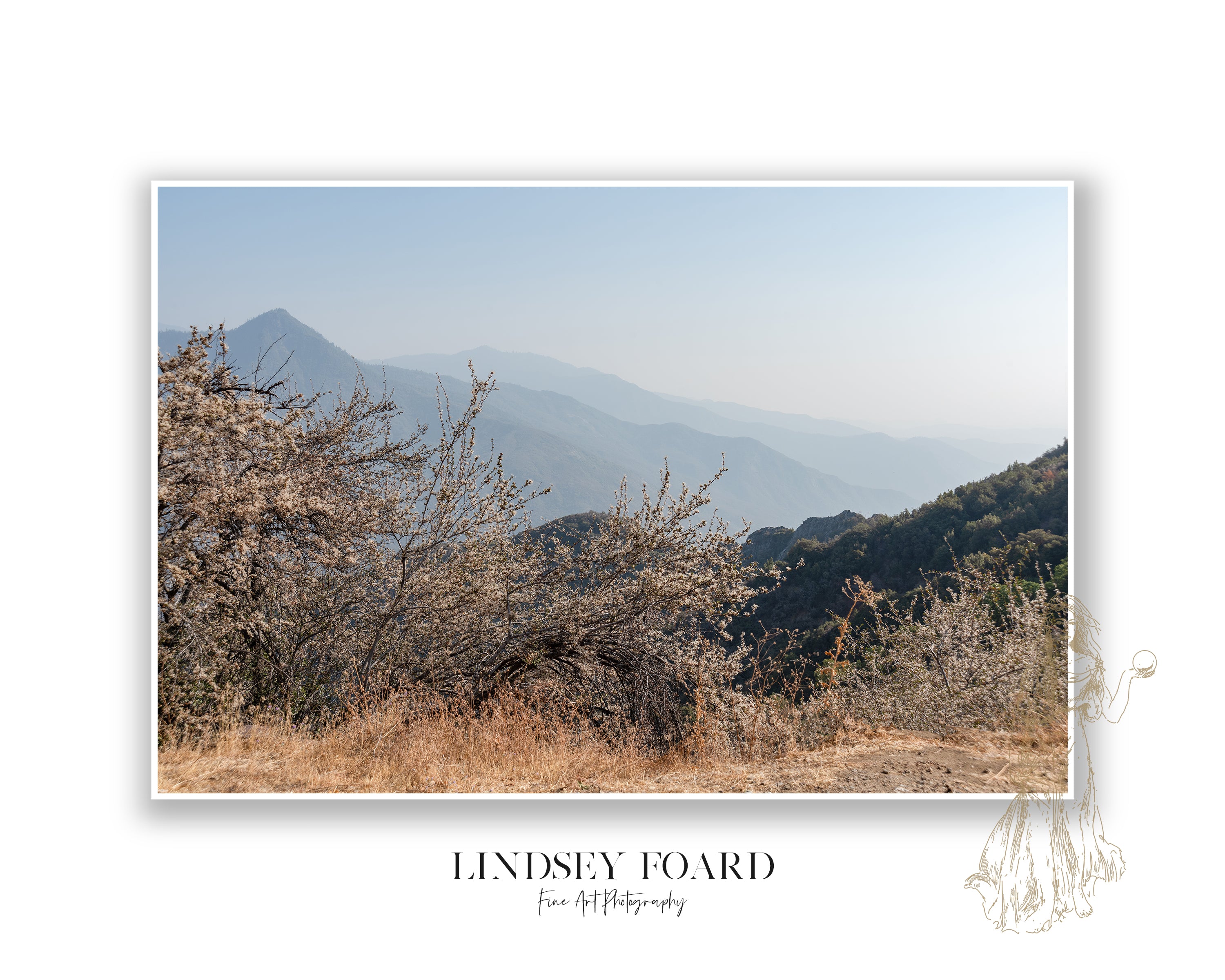 Kings Canyon Photo