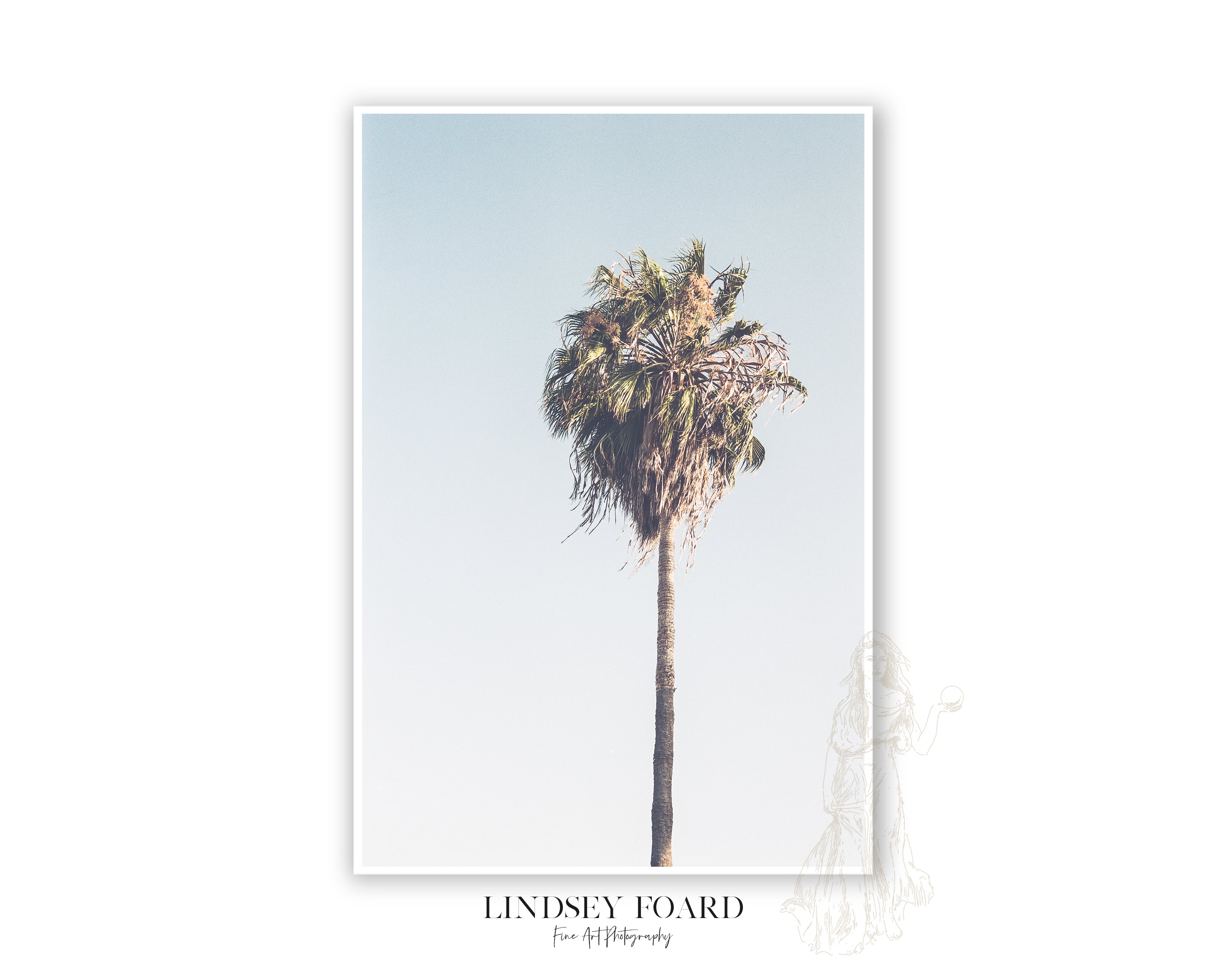 Cali Palm Photo on Film